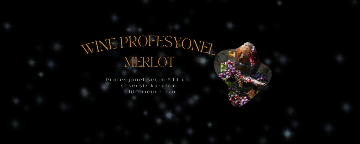 Wine Profesyonel Üzüm Suyu Konsantresi 23 lt MERLOT Başarılı Sepete Eklendi