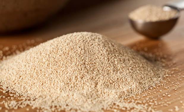 Amerikan Ale Bira Mayası 5 lt İçin